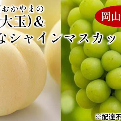 桃 ぶどう 2024年 先行予約 晴れの国 おかやま の  白桃 大玉 1.5kg以上 4～6玉 大きな シャイン マスカット 1房900g以上 マスカット ブドウ 葡萄  岡山県産 国産 フルーツ 果物 ギフト