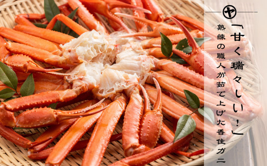 【訳あり 茹切 香住ガニ7~9肩（約1.0kg）冷蔵】ご入金確認後順次発送予定 冷蔵 カニの本場 香住 香住ガニ タップリ1㎏ 7~9肩セット 冷凍 足 爪 身 脚 ボイルふるさと納税 香美町 かに ベニズワイガニ マルヤ 15000円 11-17