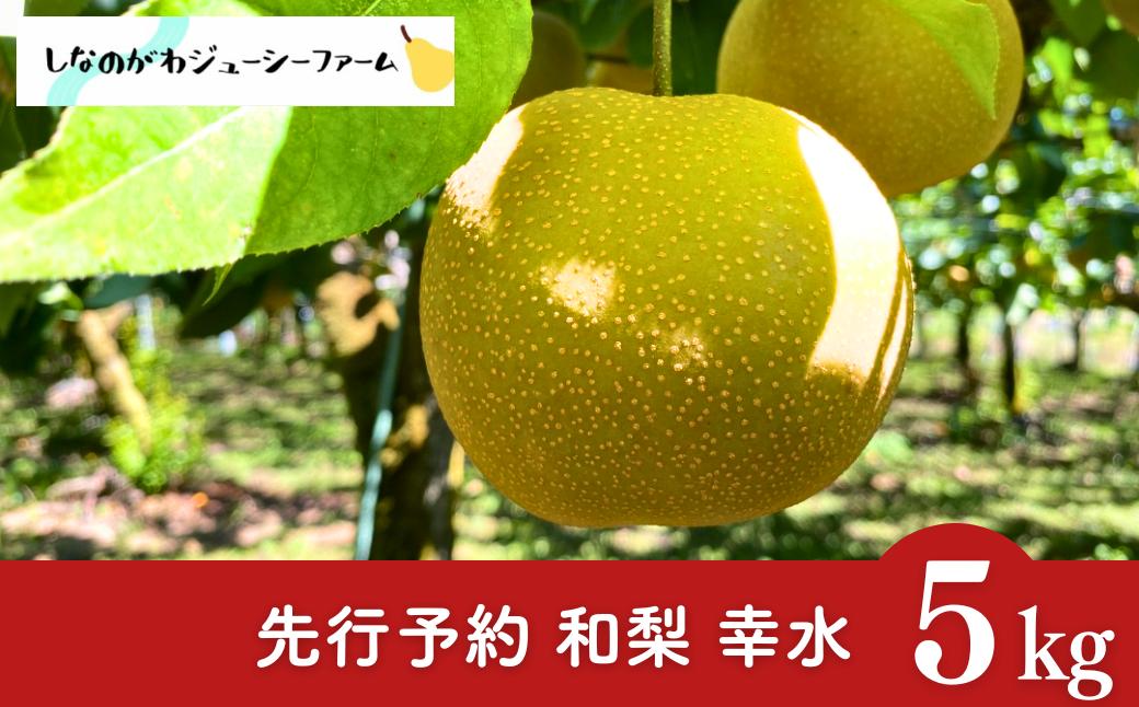 
            先行予約 和梨 幸水 約5kg 令和8年度 新潟県 三条市産 梨 [しなのがわジューシーファーム]【015S131】
          