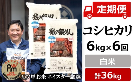 令和8年産新米【五ツ星お米マイスター厳選の定期便・6ヶ月定期便】コシヒカリ 白米 6kg（3kg×2袋）×6回（計 36kg）[ZH654]