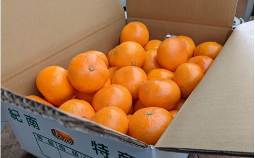 <先行予約＞日向屋 ひだまりみかん　3kg(箱込み） ※2025年12月頃に順次発送予定【期間限定・2025/12/25まで】 / 田辺市 みかん 期間限定 先行予約 ミカン 和歌山 紀州【hnt01