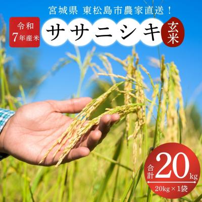 ふるさと納税 東松島市 【 令和7年産】【新米】宮城県産東松島市農家直送 ササニシキ 玄米 20kg × 1袋