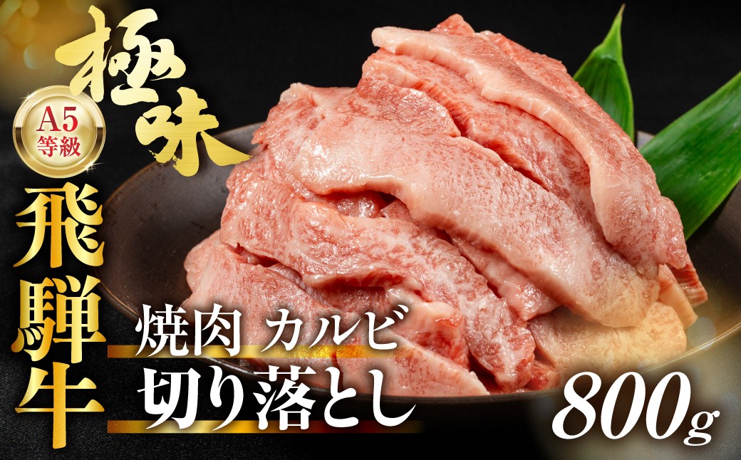 
                  訳あり A5等級飛騨牛 カルビ切り落とし800g（400g×2パック）| 牛肉 肉 和牛 5等級 切り落とし カルビ 人気飛騨牛 おいしい 冷凍 おすすめ お取り寄せ 高山 有限会社ながせ食品 FH024VP
                