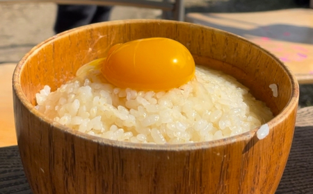 信州さらしな 放飼養鶏！3種の有精卵 詰め合わせセット S|卵