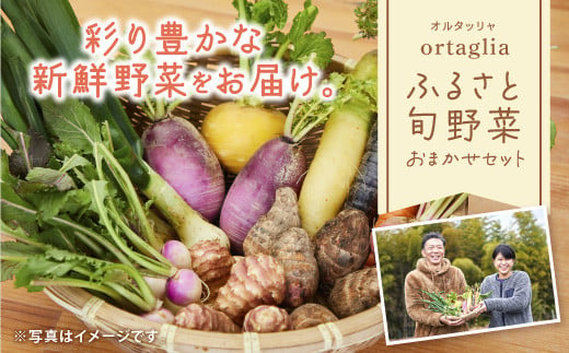 
A-229 季節の旬野菜 10品 おまかせセット（農薬・化学肥料不使用）
