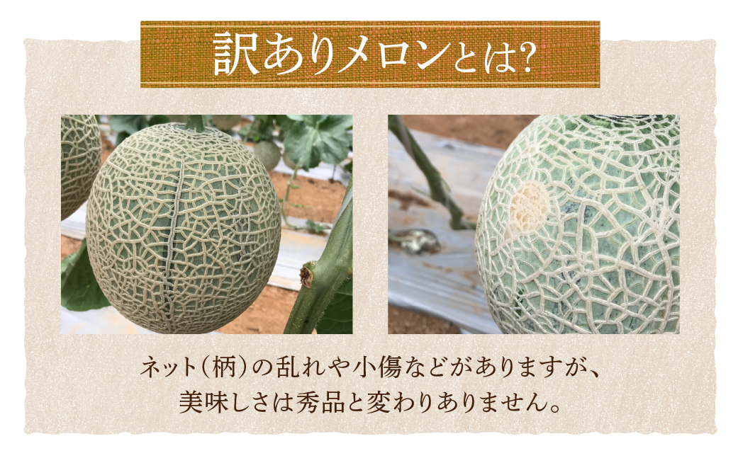 国産うなぎ & 牛肉トロ セット うなぎ 肉トロ 訳あり 蒲焼 2尾 牛トロ 3パック ウナギ 鰻 蒲焼き 土用丑の日 丑の日 簡単調理 惣菜 おつまみ 牛フレーク 生肉 生食用 生食 レア unagi 暑さ 対策 贅沢 簡単調理 惣菜 愛知県 豊橋市