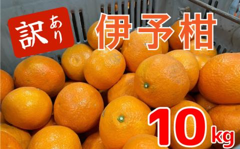 【1月中旬から発送予定】伊予柑10キロ （訳あり） | いよかん 伊予柑 いよかん 伊予柑 いよかん みかん 訳あり 10kg