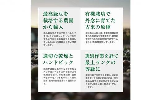 珈琲 スペシャルティーコーヒー豆【豆のまま】エチオピア モカ シャキッソ ナチュラル G1 600g