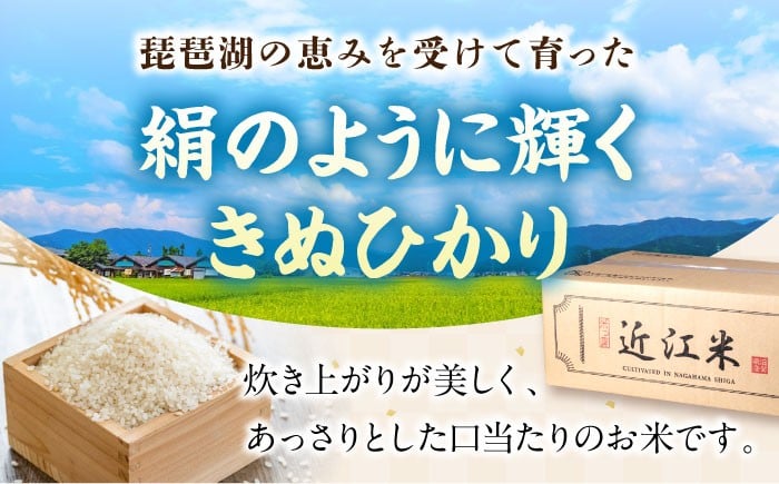 近江米 キヌヒカリ きぬひかり 滋賀県産 国産 5kg 米 コメ お米 白米 ご飯 おにぎり ご飯のお供 カレー 丼