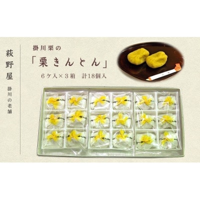 萩野屋 掛川栗の 栗きんとん 6個×3箱 計18個入【配送不可地域：離島・北海道・沖縄県・四国・九州】【1662792】