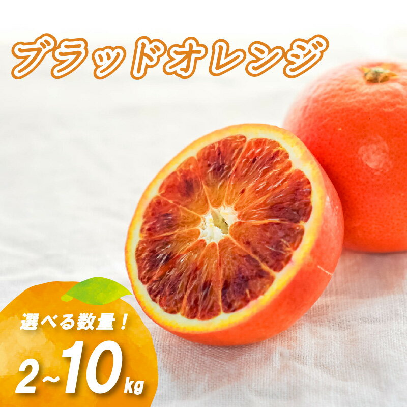 【ふるさと納税】 【2026年1月下旬より発送】 ブラッドオレンジ 2kg / 5kg / 10kg ( 数量選択可 国産 愛媛みかん 愛媛蜜柑 愛媛ミカン みかん ミカン mikan 蜜柑 柑橘 フルーツ 果物 くだもの お取り寄せ 産地直送 数量限定 人気 おすすめ 愛媛県 松山市 送料無料 )