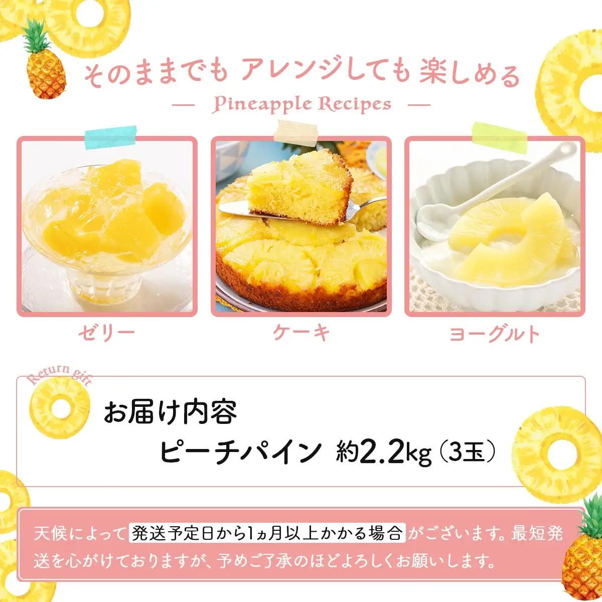【2027年先行予約】ピーチパイン 約 2.2kg 