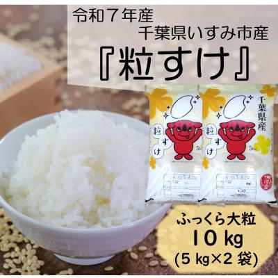 ふるさと納税 いすみ市 【令和7年産米】　ふっくら大粒　千葉県いすみ市産粒すけ　精米10kg(5kg×2袋)