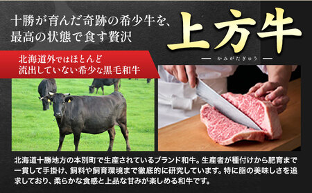 十勝産 黒毛和牛 上方牛 サーロインステーキ 400g(200g×2枚) 上方牧場《30日以内に出荷予定(土日祝除く)》北海道 本別町 肉 ステーキ サーロイン バーベキュー 送料無料