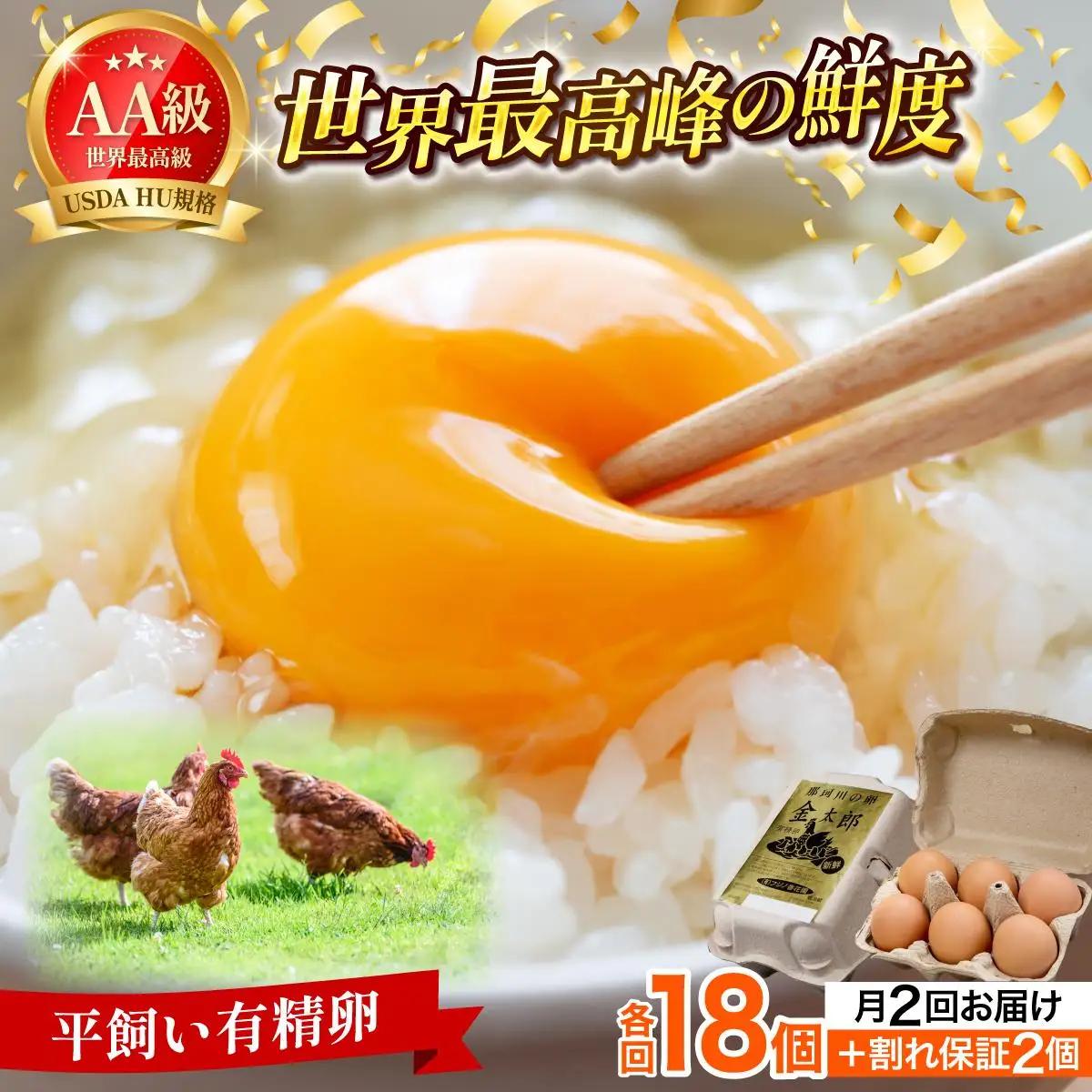 ≪月2回発送≫【TVで紹介】鮮度ＡＡ級の世界最高ランク！金太郎卵 平飼い たまご 計36個(18個×月2回)