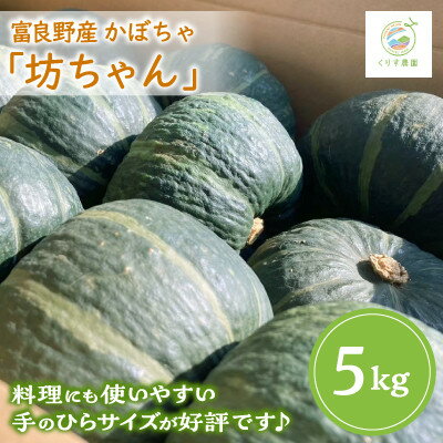 【ふるさと納税】【先行予約】北海道富良野産かぼちゃ「坊ちゃん」5kg ※手のひらサイズが好評です!【1576617】