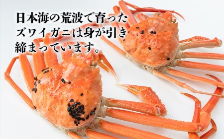 【令和7年11月以降発送】 冷凍 鼠ヶ関産ボイルズワイガニ (約400g)×2尾　鶴岡魚類株式会社　K-791