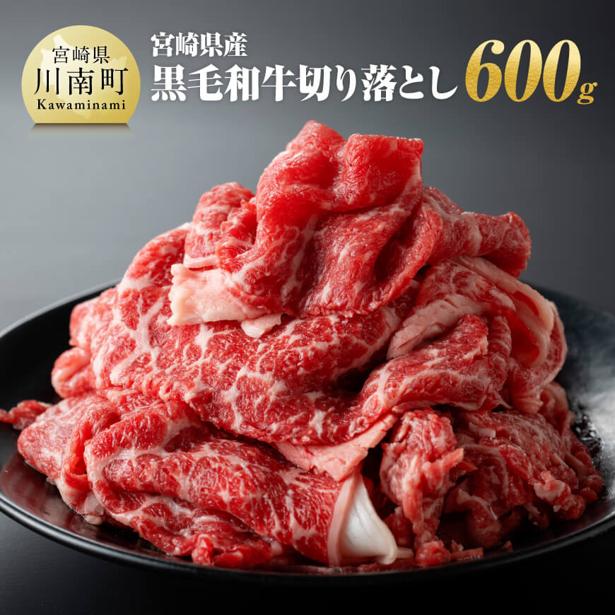 宮崎県産 黒毛和牛 切り落とし 600g　牛肉 宮崎牛[E11009]