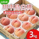 【ふるさと納税】山形市産 桃「川中島白桃」 秀以上 3kg(8玉〜11玉)[柔らかくなる桃] 【令和7年産先行予約】FU21-063くだもの 果物 フルーツ 山形 山形県 山形市 お取り寄せ 2025年産