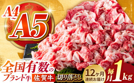 ＜全12回定期便＞佐賀牛切り落とし500g×2パック HCS034 佐賀牛