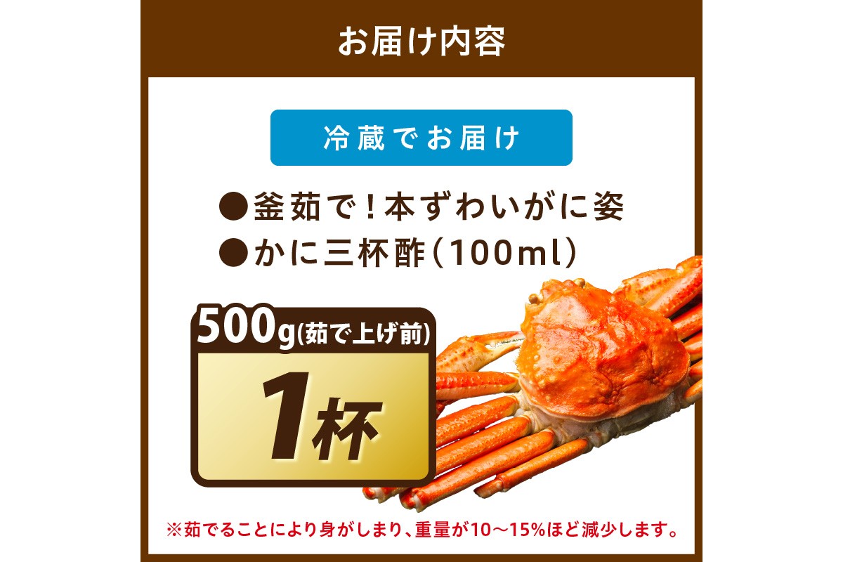【大好評！カニ酢付き】訳あり！釜茹で！本ずわいがに姿 500g×1杯 魚介 海鮮 海の幸 釜茹で ボイル ふるさと納税 カニ 訳あり ふるさと納税 ズワイガニ　YK00439