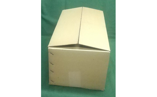 伝統工芸士の鬼師が作る鬼師が作る 疫病退散アマビエ (大)　H064-024