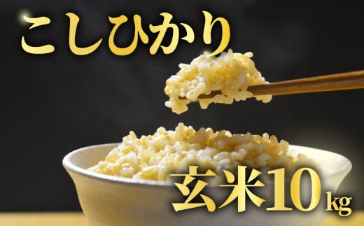 【先行予約】 玄米 10kg こしひかり 令和8年産 米 コシヒカリ 2026年 8年産 R8米 R8 令和8年産米 お米 ご飯 こめ コメ kome ごはん ライス お弁当 家庭用 備蓄 防災 こだわり おいしい 高品質 送料無料 国産 千葉県産 千葉 千葉県 旭市 BANJYO farm bnj009
