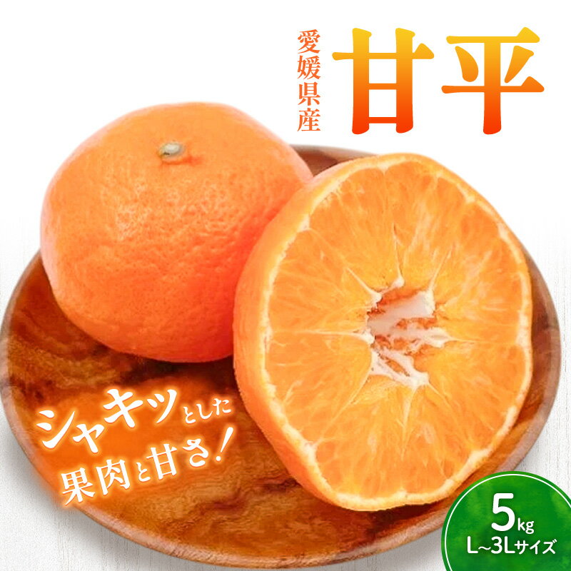 【ふるさと納税】甘平 L～3Lサイズ　5kg　家庭用【フジ・アグリフーズ かんぺい はじける食感 濃厚果汁 旬にお届け みかん 柑橘 人気 数量限定 先行予約 愛媛県 フルーツ 果物 甘い】　お届け：2026年1月下旬から2026年2月中旬まで