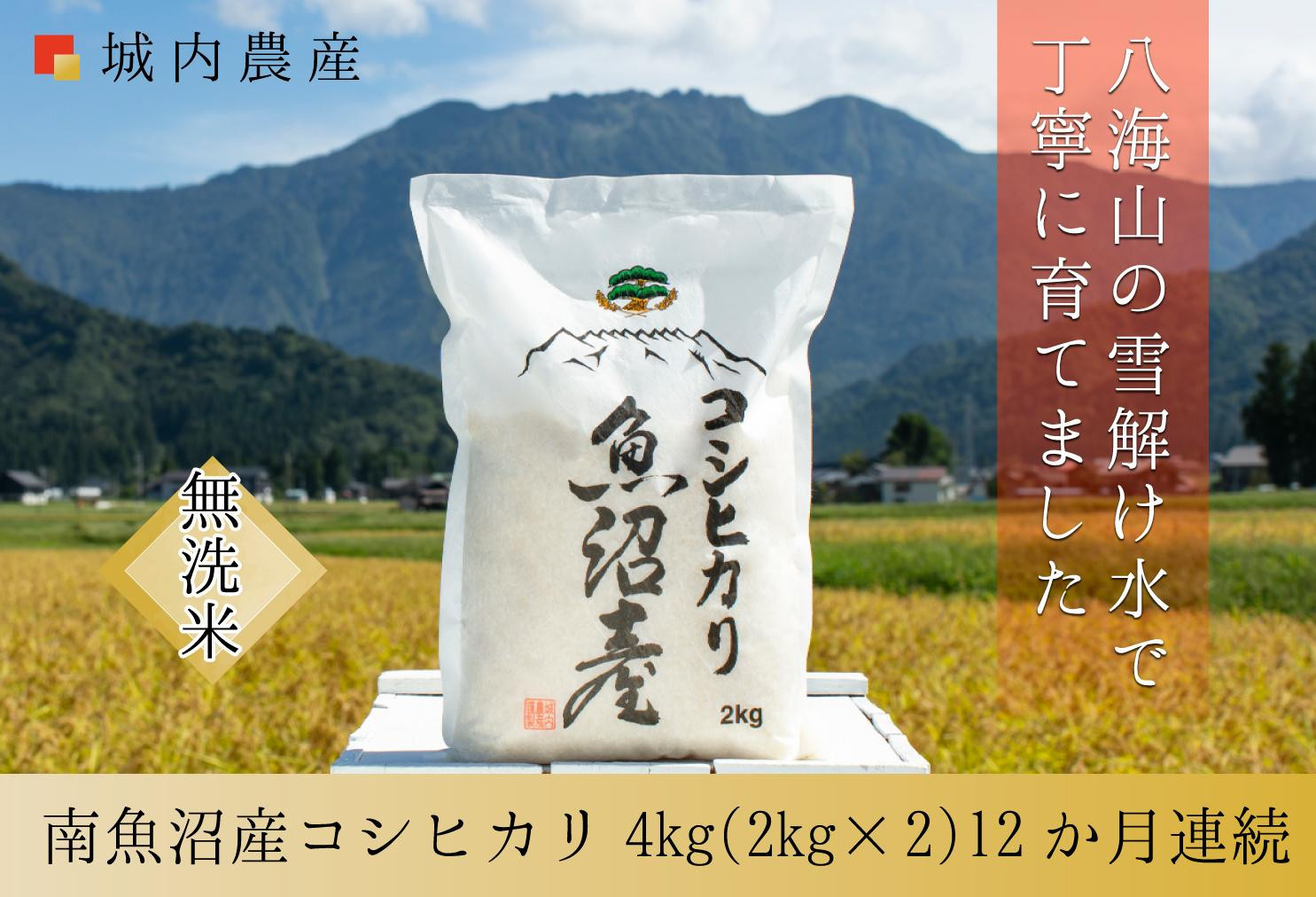 【令和７年産】城内農産【お米定期便/全１２回】南魚沼産コシヒカリ　無洗米４kg（２ｋｇ×２）＜5割減農薬栽培米＞