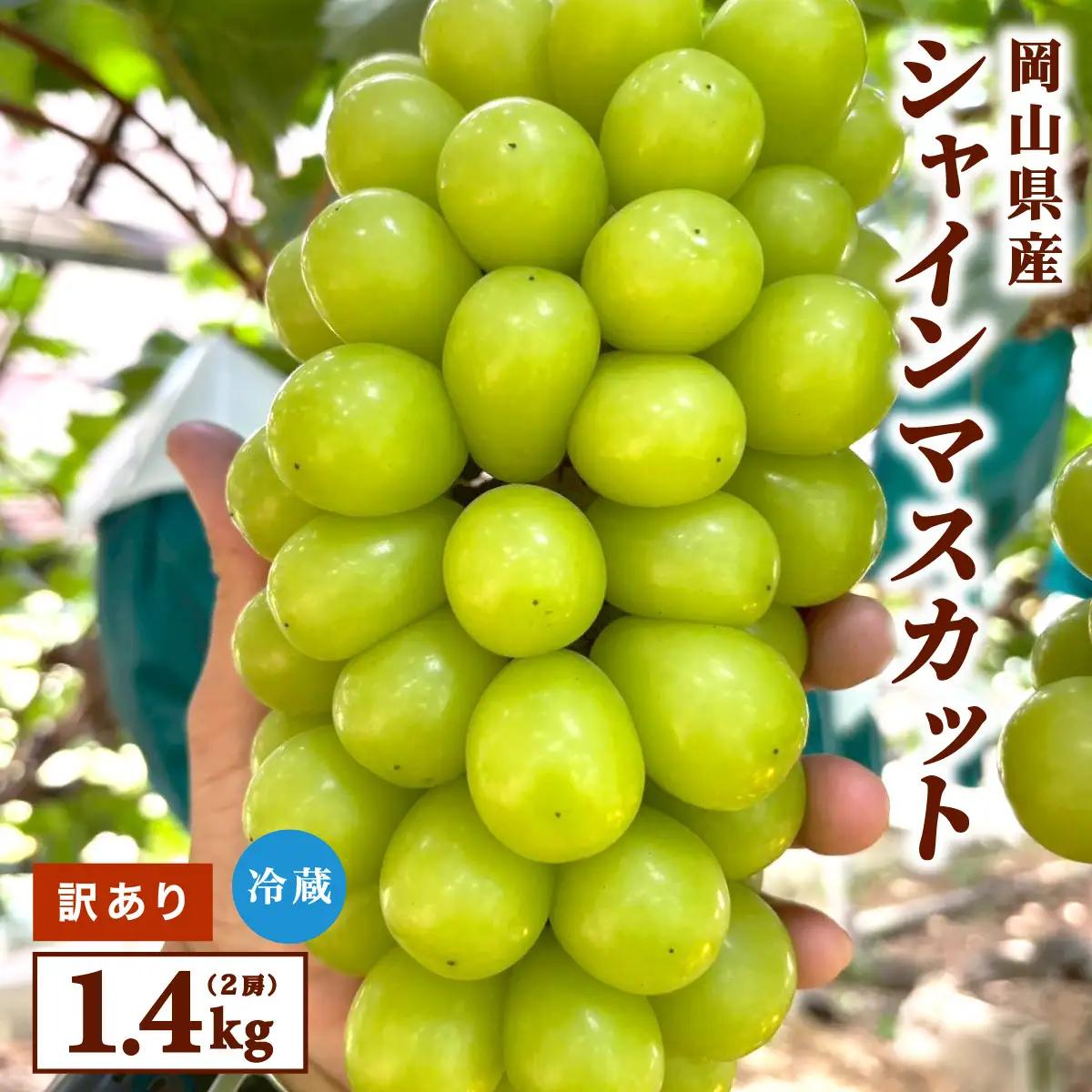 【訳あり】2026年9月発送 岡山県産 シャインマスカット 1.4kg