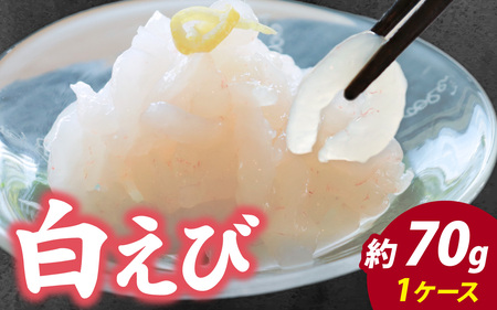 白えび 刺身 約70g 1ケース ｜ 白エビ