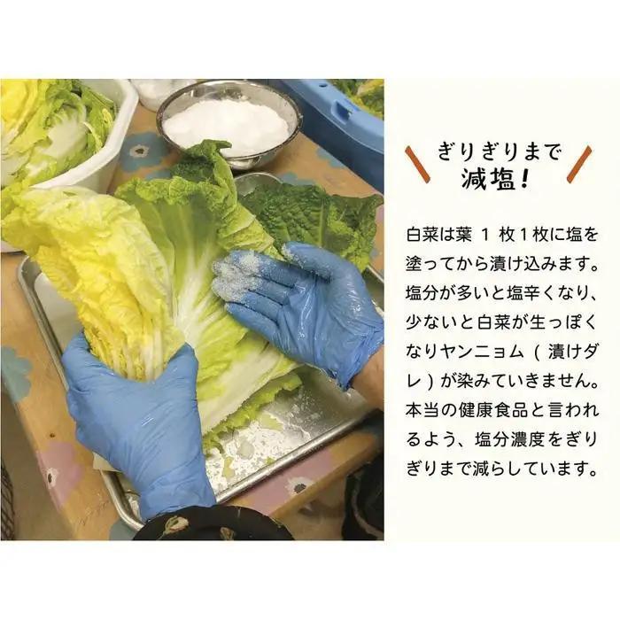 先行予約【2026年7月～順次配送】筑北村 特産 西条白菜（夏白菜）のキムチ　松ちゃんキムチ工房の元（ゲン） キムチ 1kg | 惣菜 野菜 産直 産地直送 長野県 信州