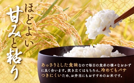 北海道恵庭産　ななつぼし 5kg×1袋