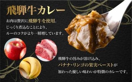  飛騨牛カレー (25袋) ビーフカレー 飛騨牛    カレー  訳あり 簡易包装   レトルトカレー   ふるさと清見 TR3967