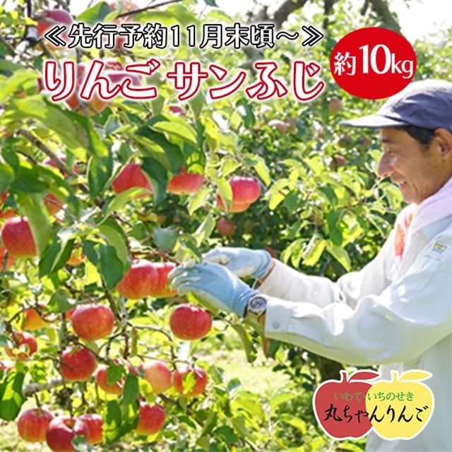 ≪先行予約11月末頃～順次発送≫家庭用 りんご サンふじ 約10kg
