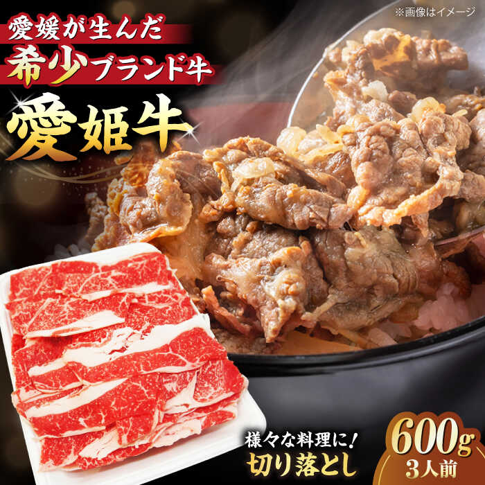 【ふるさと納税】 牛肉 愛姫牛 切り落とし 600g （ 3人前 ）| 人気 おすすめ ランキング 国産 お肉 焼肉 切り落とし 送料無料 お取り寄せ 大洲市/有限会社 木村屋精肉店[AGCC029] 20000 20000円 以上