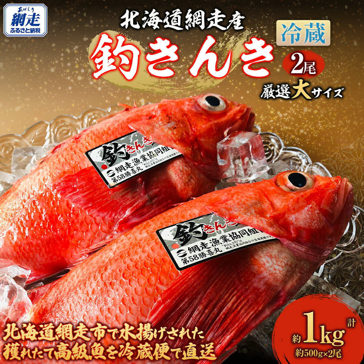 【ふるさと納税】【先行予約】【冷蔵届け】網走産釣りキンキ【2尾で約1kg】（2026年4月中旬頃～11月下旬頃発送） 【 釣りきんき きんき キンキ 釣キンキ 網走産 北海道産 2尾 1.2kg 冷蔵 オホーツク 北海道 網走市 送料無料 】 ABAO116