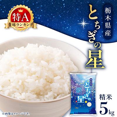 ふるさと納税 さくら市 【令和7年産】 特A とちぎの星 精米 5kg 栃木県産 令和大嘗祭献上 の お米