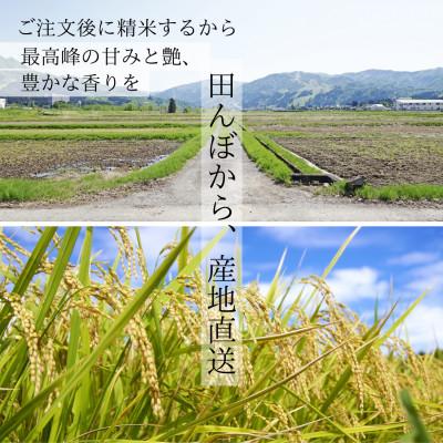 ふるさと納税 魚沼市 【令和7年度産】魚沼産コシヒカリ 精米 5kg 一等米 |  | 03