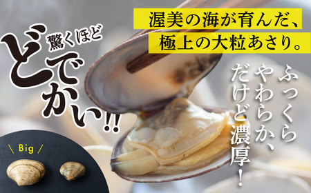 【先行予約】どでかい！垂下あさり 1kg サイズ 特大 あさり ブランドあさり 浅利 ダシ 出汁 味噌汁 国産 アサリ 愛知県 田原市 新鮮 砂抜き 海鮮 魚介類 魚介 貝 人気 パスタ などに