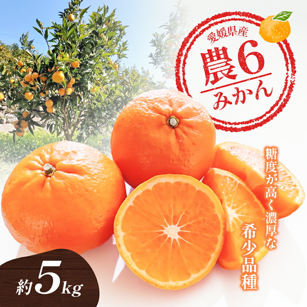 【ふるさと納税】農6みかん「とべ農六柑」希少な品種の柑橘（かんきつ中間母本農6号）5kg 柑橘 種類 甘い 品種 おすすめ 愛媛 キングマンダリン 旬にお届け 果物 種無し 濃厚 カットフルーツ 美味しい フルーツ 　お届け：2026年2月1日から3月31日まで