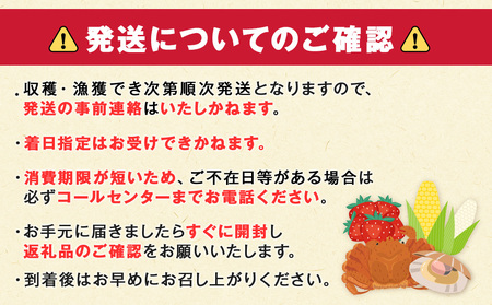 2024年夏発送 とうもろこし ゴールドラッシュ L～2L 20本