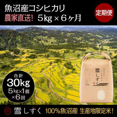 ふるさと納税 十日町市 【毎月定期便】中里地域限定!魚沼産コシヒカリ5kg (5kg×1袋)×6回 合計30kg全6回