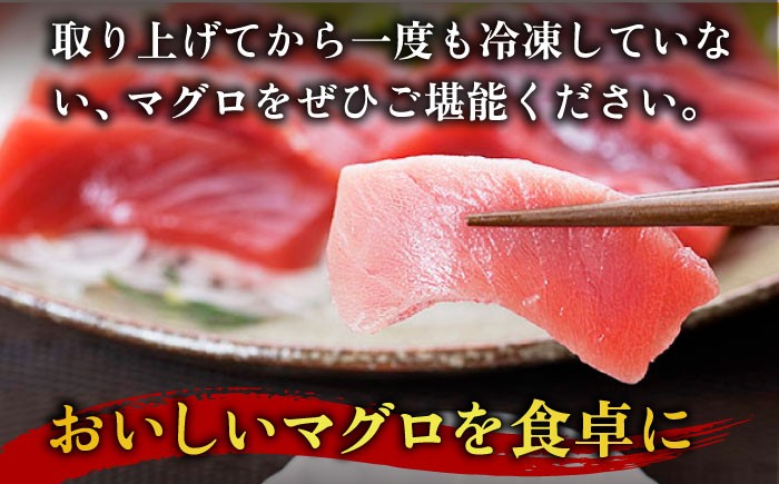 五島列島産 養殖 生本かみマグロ 刺身用ブロック 赤身 中トロ 大トロ 計約1kg