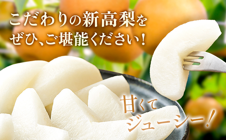 新高梨 約 1.8kg（4〜7玉） 日本フルーツ株式会社《9月上旬-10月上旬頃出荷》熊本県 長洲町 新高梨 梨 果物 フルーツ スイーツ デザート ギフト ご贈答