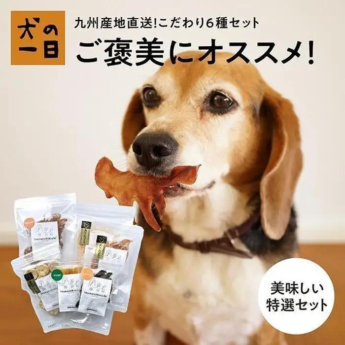 福岡市【無添加 犬のおやつ】九州産地直送！こだわり6種セット | 食品 加工食品 人気 おすすめ 送料無料