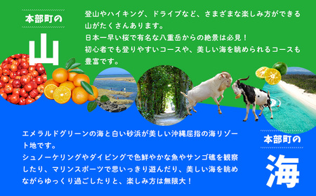 HISふるさと納税クーポン（沖縄県本部町）6万円分 観光 