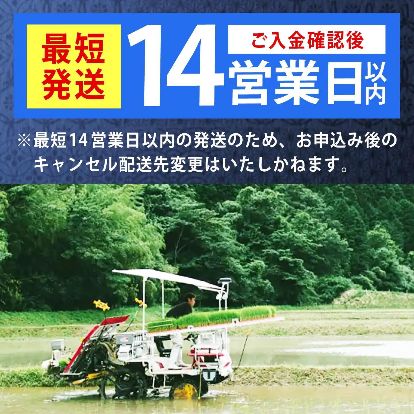 令和7年産　福岡県　元気つくし　15kg（5kg×3袋）《築上町》【カネガエ】[ABFA006]