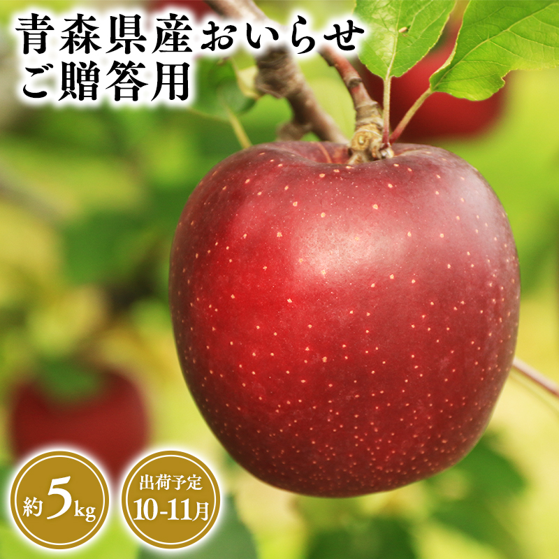 １０月・１１月発送　贈答用おいらせ5ｋｇ　【そと川りんご園・１０月・１１月・青森県産・平川市・りんご・おいらせ・5ｋｇ・贈答用】