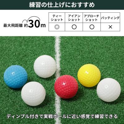 ふるさと納税 常陸大宮市 タバタ　ソフトボール(トレーニングボール)6球入り　GV0311×2個セット |  | 01
